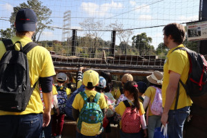 2018プリスクール遠足ズーラシア_ミーアキャット