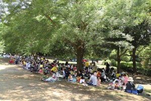 2017 Sports Day　お弁当