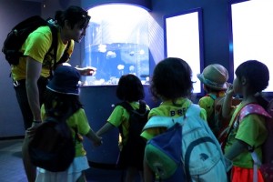 2017 遠足　しながわ水族館 クラゲ