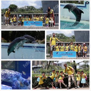 2017 遠足　しながわ水族館