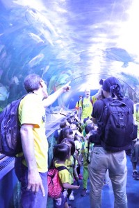 2017 遠足　しながわ水族館 お魚のトンネル