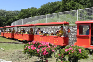 こどもの国　プリスクール　遠足 2018 train