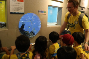 英語保育園幼稚園　遠足　しながわ水族館　glass fish