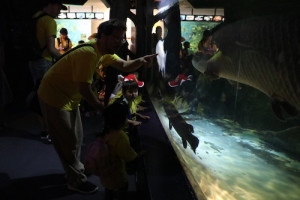 英語保育園幼稚園　遠足　しながわ水族館　ピラルーク　