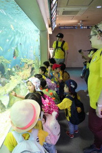 英語保育園幼稚園　遠足　しながわ水族館　熱帯魚