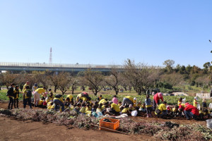 保育園,幼稚園,遠足,芋掘り,横浜,international school