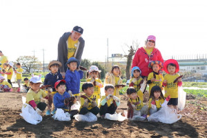 保育園,幼稚園,遠足,芋掘り,横浜,international school