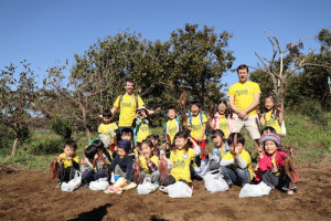 保育園,幼稚園,遠足,芋掘り,横浜,international school