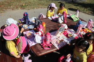 保育園,幼稚園,遠足,芋掘り,横浜,international school