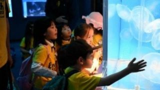 Thumbnail of post image 022